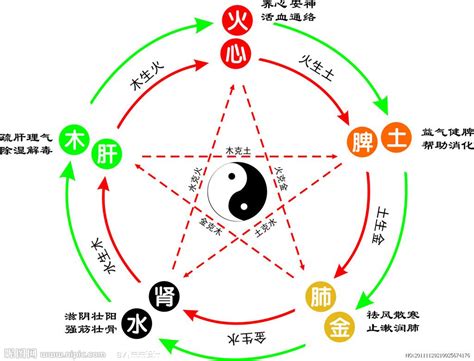 保險屬五行|保險業五行新思維